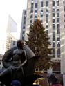 tn_nyc6.jpg (3758 bytes)